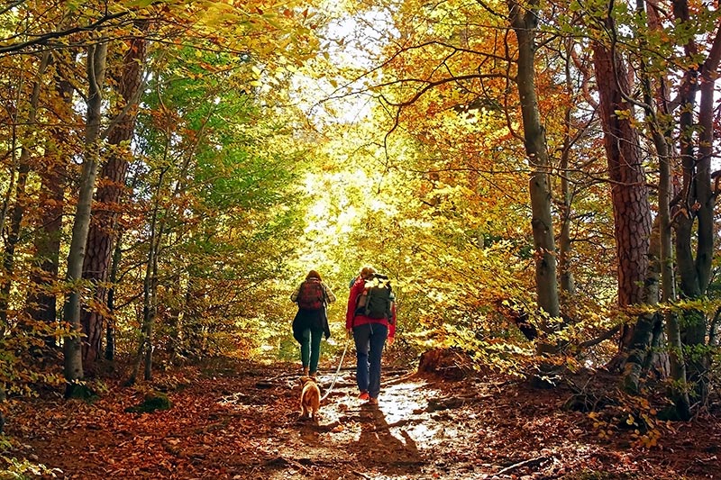 Friends trail walking